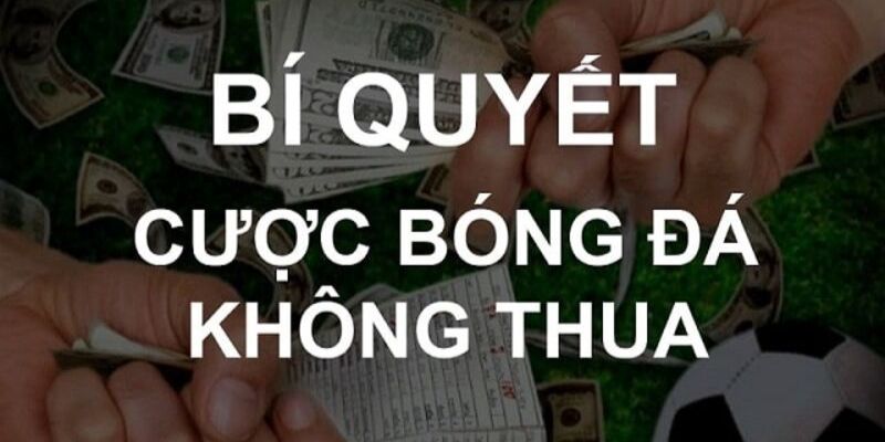 Bật mí cách chơi cá độ bóng đá ăn khủng từ cao thủ